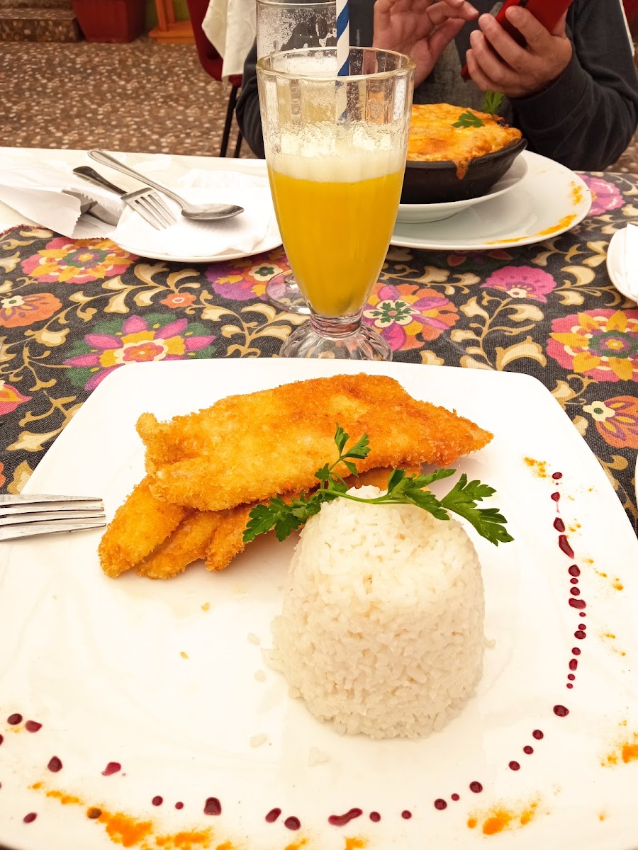 Terrazas De Punta Tralca-2